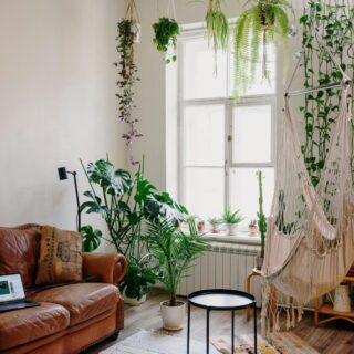 Daily Habits That Make Life Feel Lighter