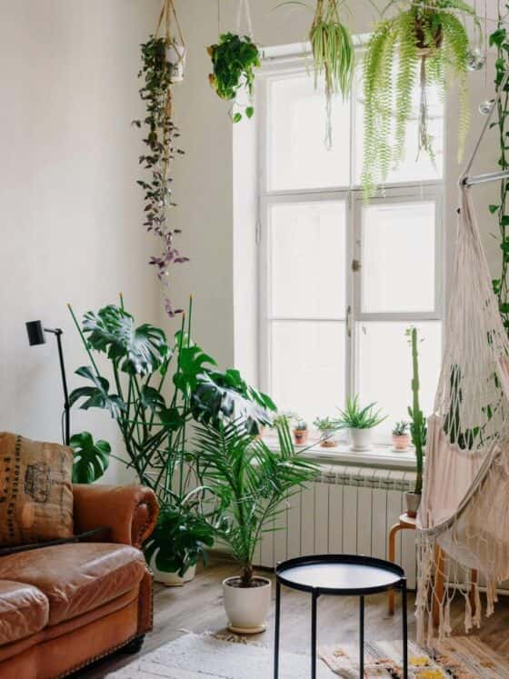 How to Build a Wellness Corner at Home | Simple Rituals for Daily Calm