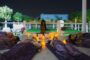 Dubai’s First Equine-Led Experience Arrives This January