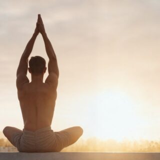 Mindful Moves and Meows: How Yoga with Rescue Cats is Transforming Wellness
