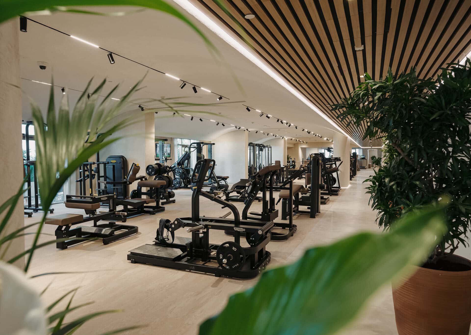 Your Weekly Dose of Health & Wellness: February 9–15