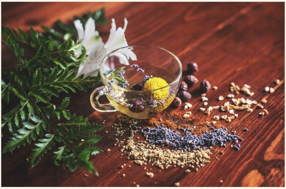 Herbal Traditions: 5 Simple Ways to Care for Yourself Naturally Every Day