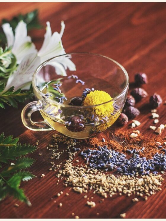 Herbal Traditions: 5 Simple Ways to Care for Yourself Naturally Every Day