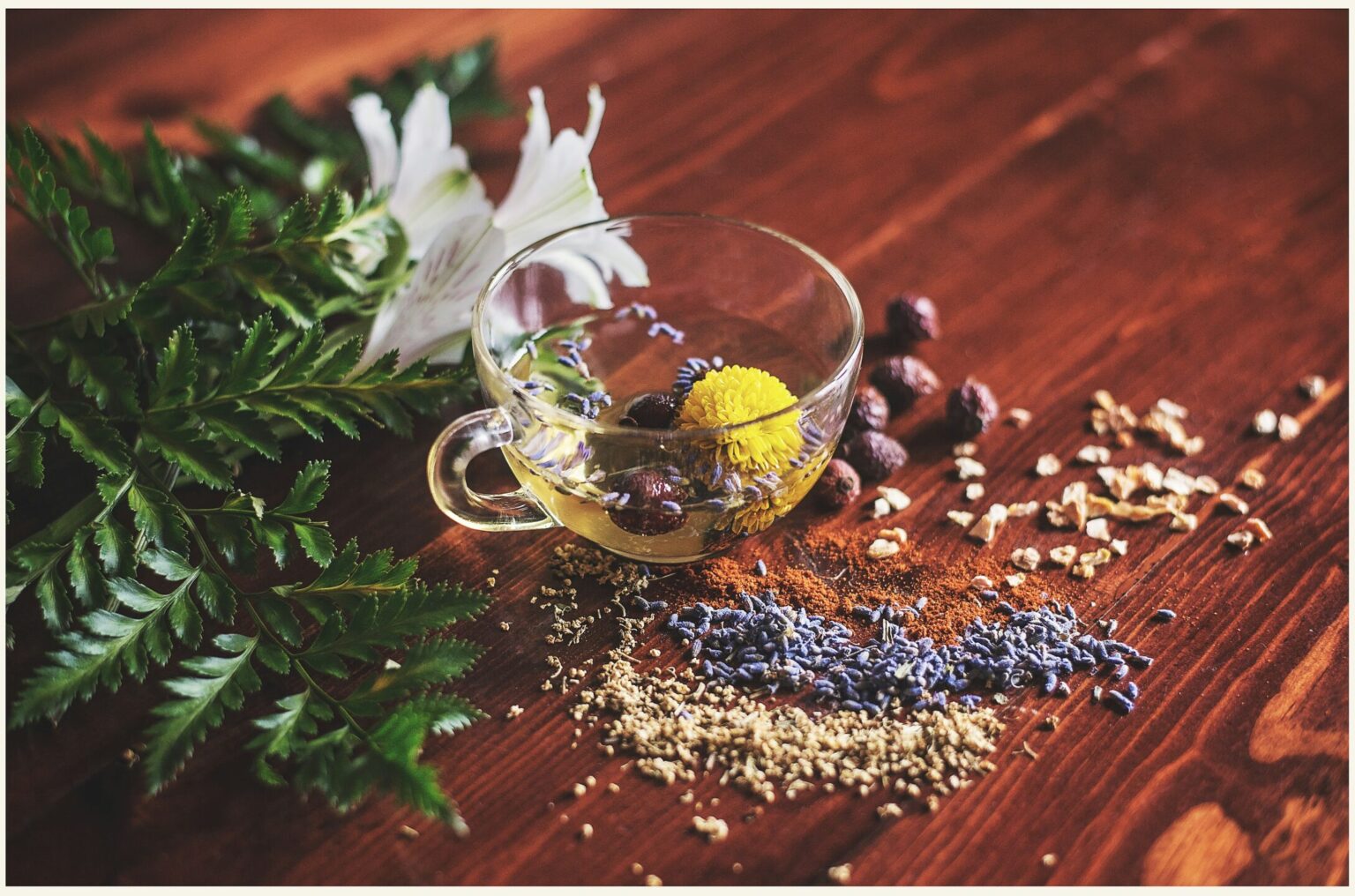 Herbal Traditions: 5 Simple Ways to Care for Yourself Naturally Every Day