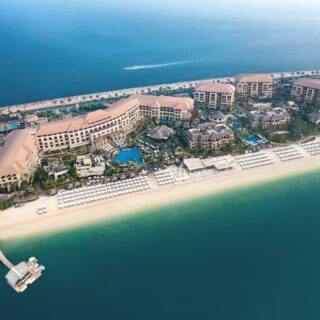 Liquid Colostrum: Cymbiotika Brings the Wellness Superfood to the UAE